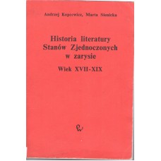 Historia literatury Stanów Zjednoczonych w zarysie : wiek XVII-XIX